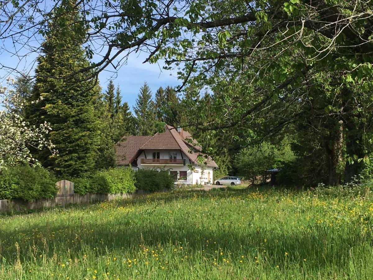 B & B Der Waldvogel Herrischried Exterior foto